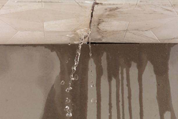 Professional Structural Drying technician working in North Fork, CA